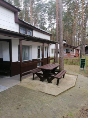 Apartament nad jeziorem